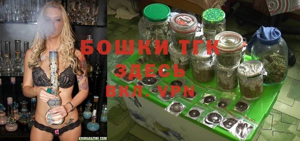 гидра Балахна