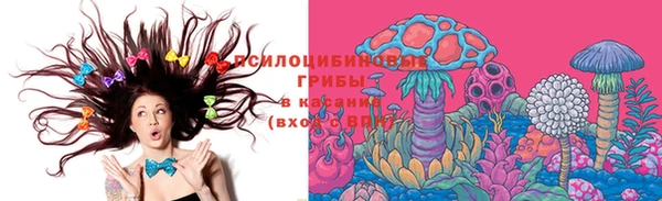 гидра Балахна