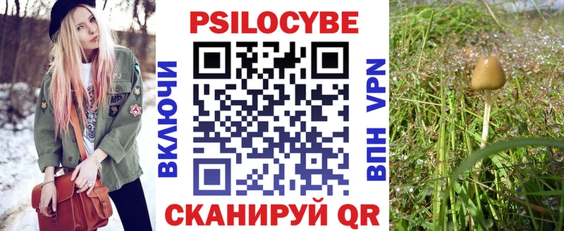 Псилоцибиновые грибы Psilocybe  Теберда 